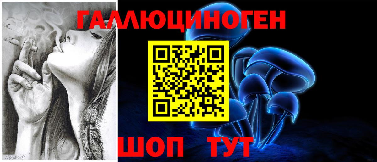 Галлюциногенные грибы Psilocybe  Вход с VPN  Уварово  Псилоцибиновые грибы мицелий 